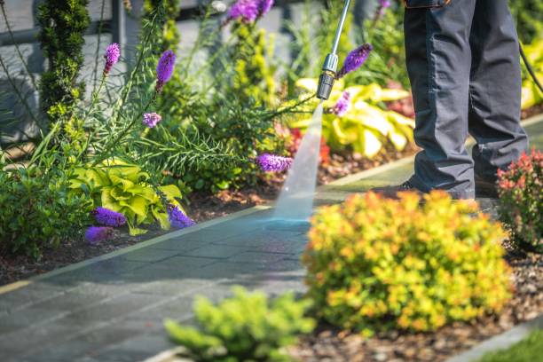 Hampton, VA Pressure Washing Services Company