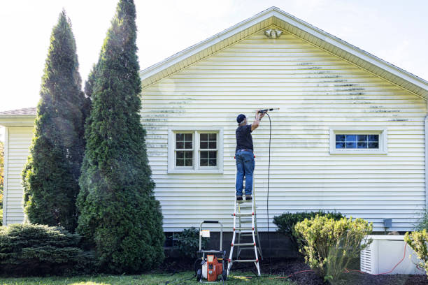 Pre-Holiday Cleaning in Hampton, VA